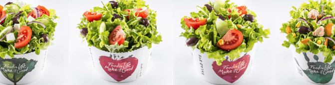 salad-box-boxes Salad Box Franchise